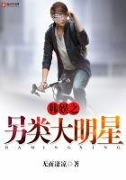 《韓娛之另類大明星》