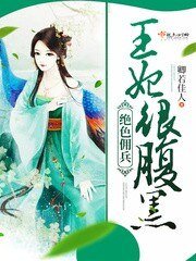 《絕色傭兵:王妃很腹黑!》