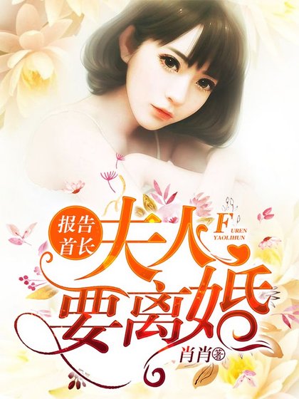 《報告首長,夫人要離婚》