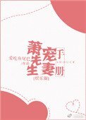 《蕭先生寵妻手冊》