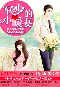 盛世婚寵：軍少的小暖妻/ 盛世婚寵：悍少的小暖妻