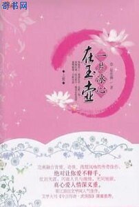 一片冰心在玉壺