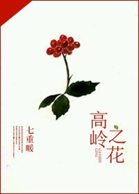 《高嶺之花》