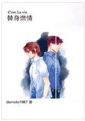 《替身燃情》