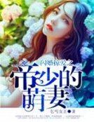 《閃婚掠愛之帝少的萌妻》