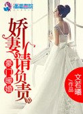 《豪門暖婚之嬌妻請負責》