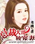 總裁大哥獨寵妻