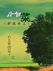 [養成年上]小白菜