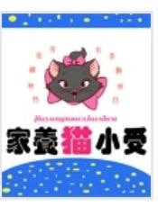 家有小貓受