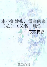 本小姐姓張，囂張的張（gl）/地鐵裏的心靈悸動