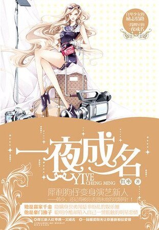 《一夜成名(出書版)》