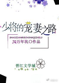 《少將的寵妻之路(gl)》