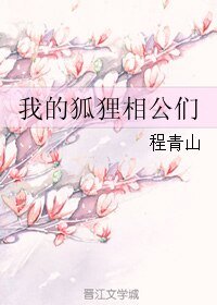 《我的狐狸相公們》
