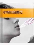小相公追妻記