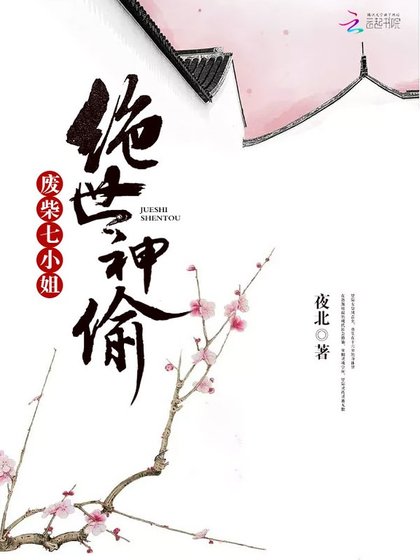 《絕世神偷:廢柴七小姐》