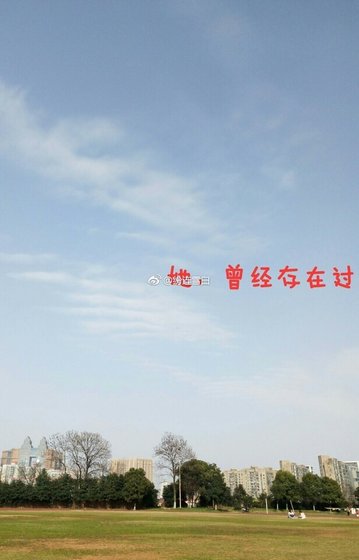 《她,曾經存在過》