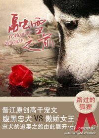 《融雪之前》