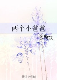 《兩個小爸爸》