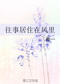 《往事居住在風裏》