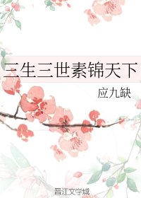 《(三生三世十里桃花同人)三生三世素錦天下》