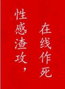 《我見風雪》