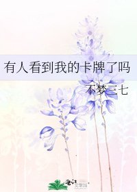 《(綜漫同人)有人看到我的卡牌了嗎》