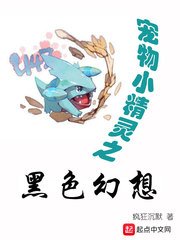 《(精靈寶可夢同人)精靈之黑色幻想》