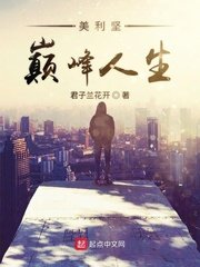 《美利堅巔峯人生》