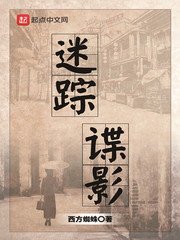 《迷蹤諜影》