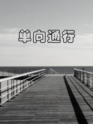 《單向通行》