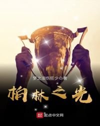 《柏林之光》