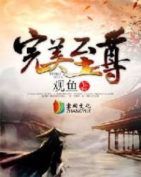 《完美至尊》