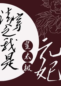 《清穿之我是皇太極元妃》