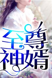 《至尊神婿葉昊鄭漫兒》