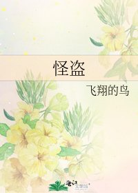 《怪盜》