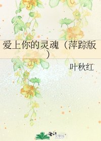《愛上你的靈魂(萍蹤版)》