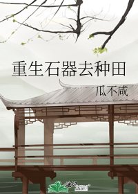 《重生石器去種田》