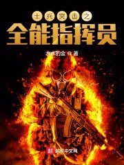 《士兵突擊之全能指揮員》
