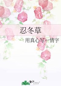 《忍冬草》