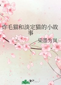 《炸毛貓和淡定貓的小故事》