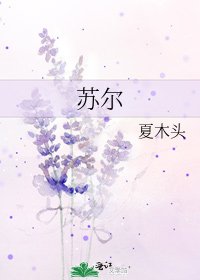 《蘇爾》