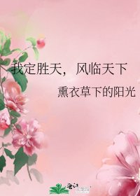 《我定勝天,風臨天下》