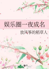 《娛樂圈一夜成名》