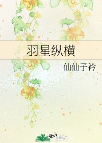 《羽星縱橫》