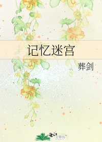 《記憶迷宮》