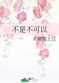 《不是不可以》