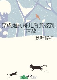 《穿成炮灰哥兒後我娶到了情敵》