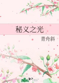 《秘義之光》