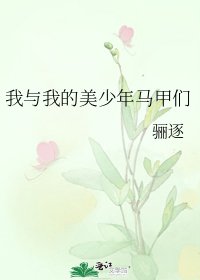 《我與我的美少年馬甲們》