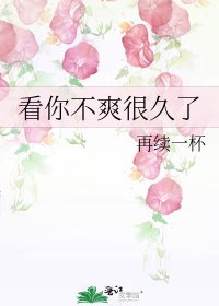 《看你不爽很久了》